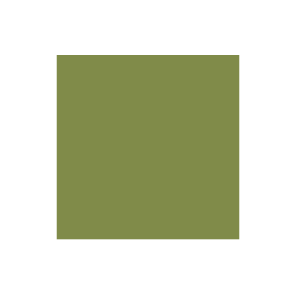 Láminas decorativas Mate Verde Electrico (STYLAM) (1025 S2 -0.7mm)